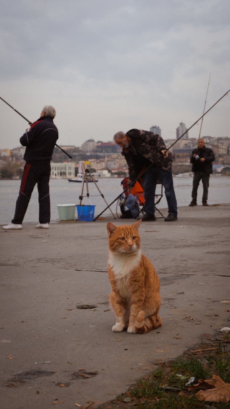 2025最后一天的人生感悟